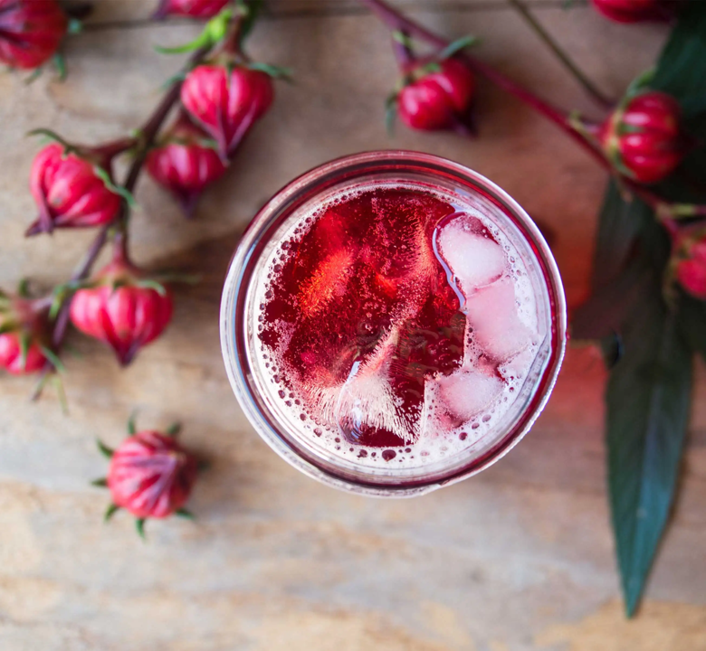 Red Hibiscus Roselle Seeds | Sabdariffa Sour Leaf Sorrel Chin Baung Jamaican