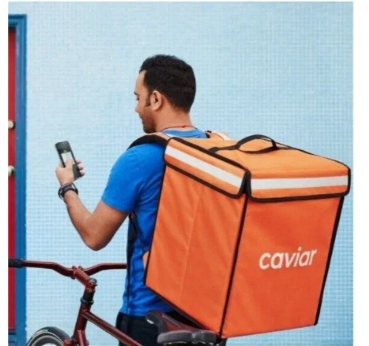 Official Caviar BlueMark CVO BikeBag — Pro Insulated Delivery Backpack 14x14x14