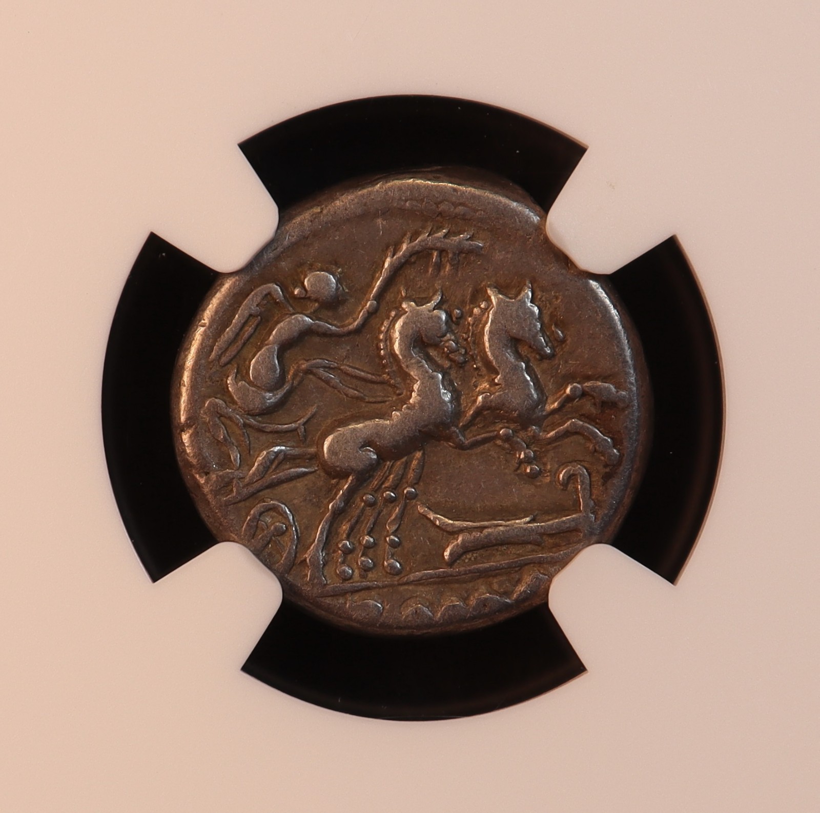 Roman Republic M. Cipius Denarius (115 BC) - NGC VF! Gorgeous & Rare Toning! PQ+