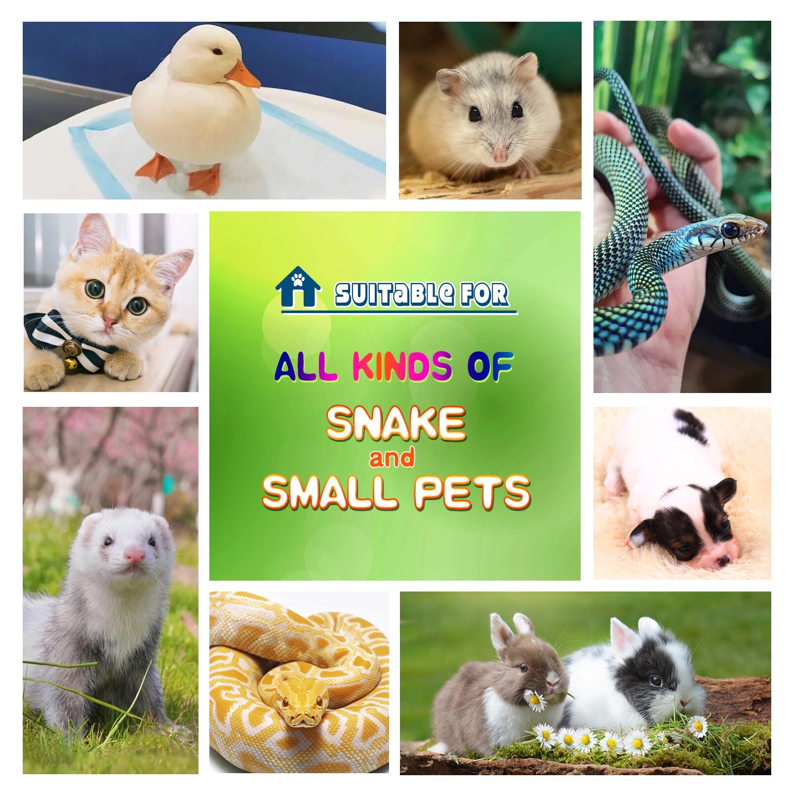 Dog and Puppy Training Pads, X-Large 30x36 inches 150 Count Dog Pee Potty