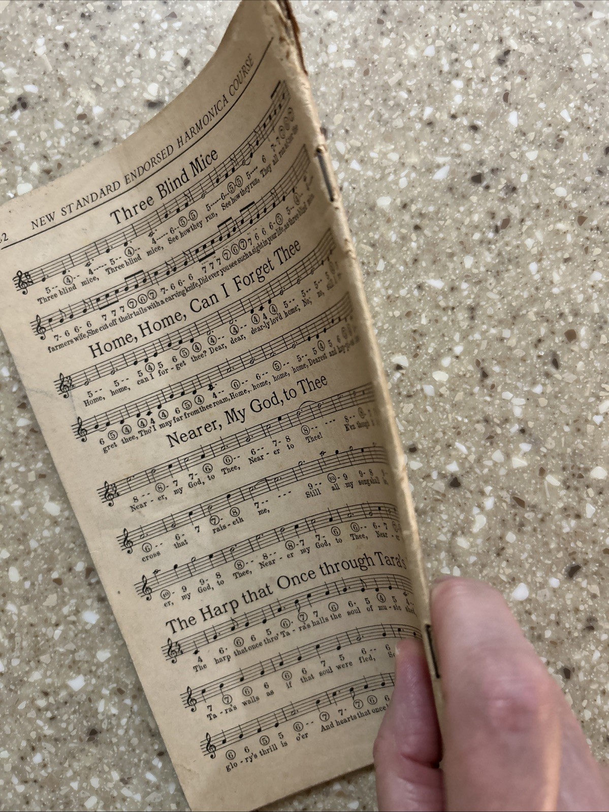 New Standard Endorsed Harmonica Course Vintage Music