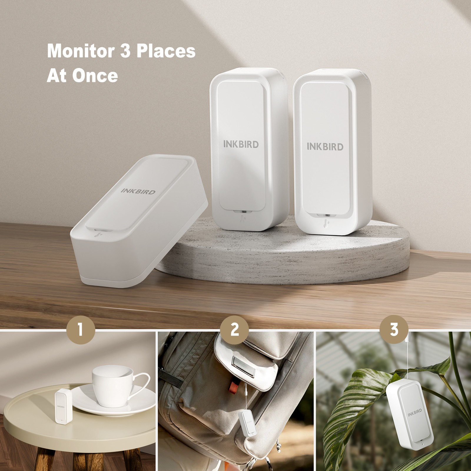 3-Pack Indoor Outdoor Thermometer Hygrometer Bluetooth Refrigerator Data Record