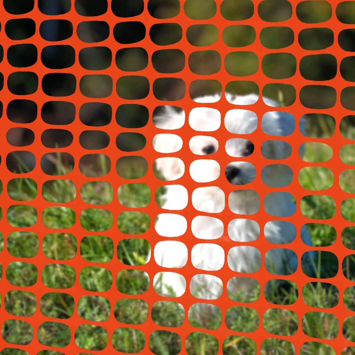 Ashman Plastic Mesh Fence, Construction Barrier Netting, Orange, 4'x100' Feet.