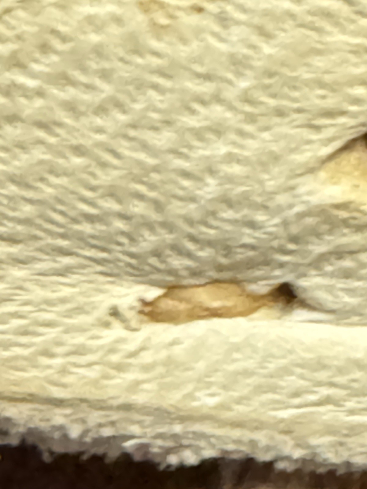 Old Native American Moccasins Navajo Apache Buckskin Hard Bottom High Top 7.5-9