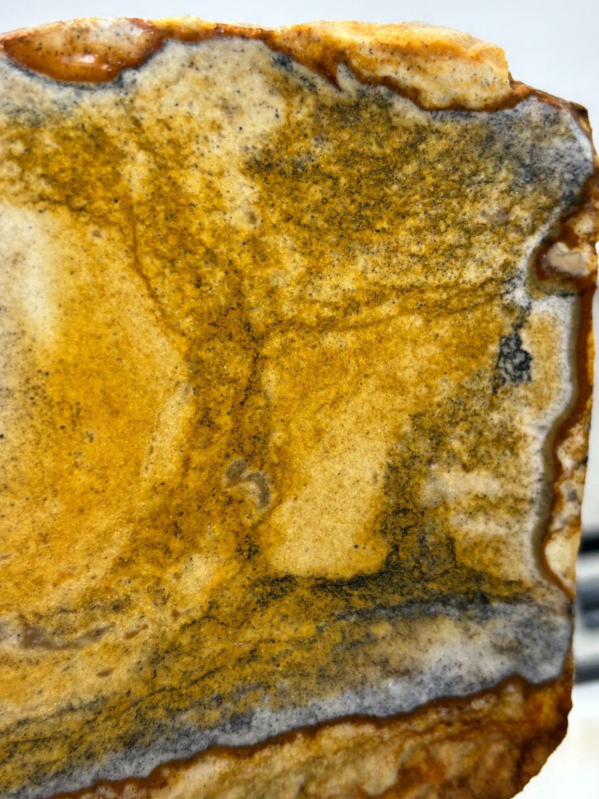 Disaster Peak Picture Jasper Slab Cabbing Lapidary Collecting Combo Ship Avail