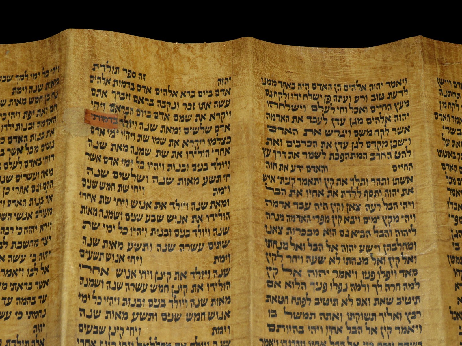 TORAH SCROLL BIBLE VELLUM MANUSCRIPT 300 YRS OLD YEMEN COMPLETE Book of Genesis