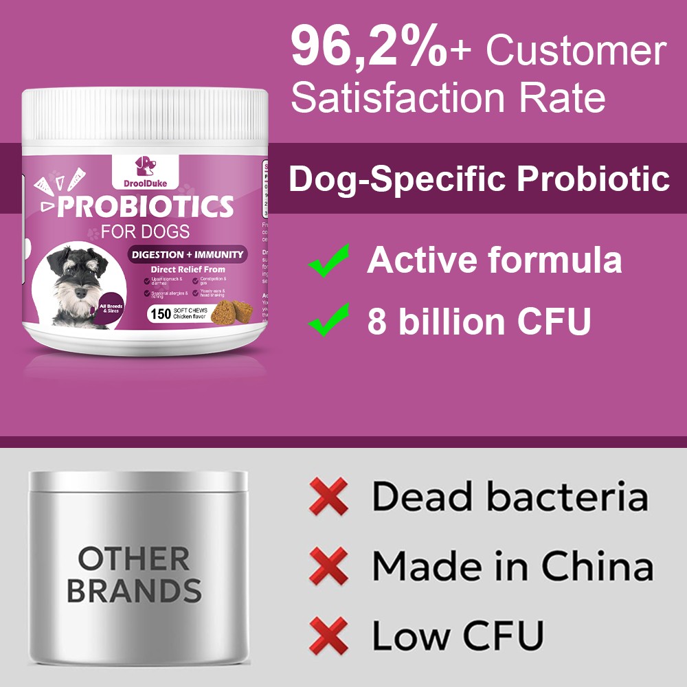 Probiotics for Dogs Soft Chews for Seasonal Allergies, Gut, and Digestive Health