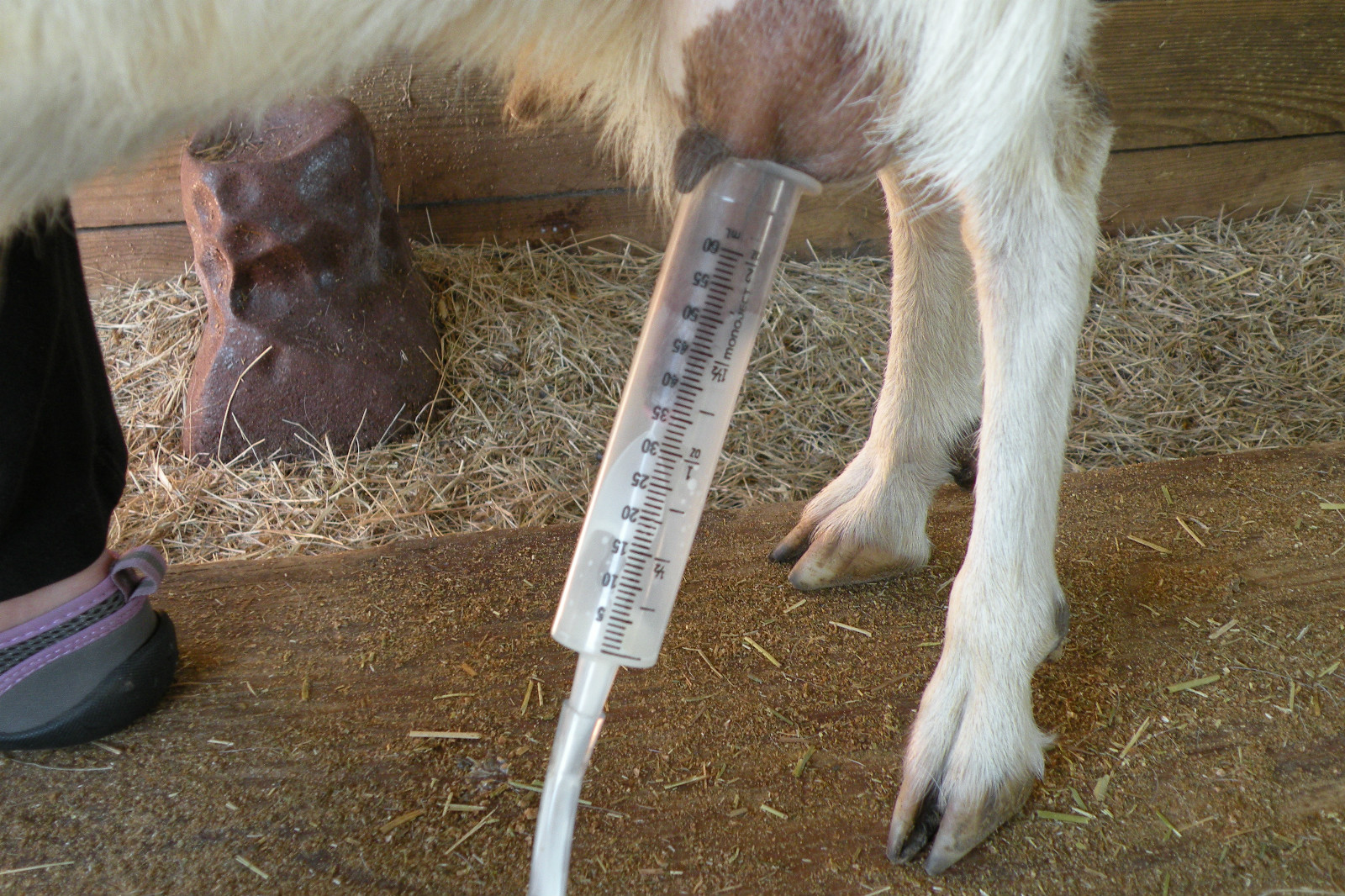 Dansha Farms™ Vacuum Goat and Sheep Milker Hand Milking Machine 1/2 Gal 1 teat