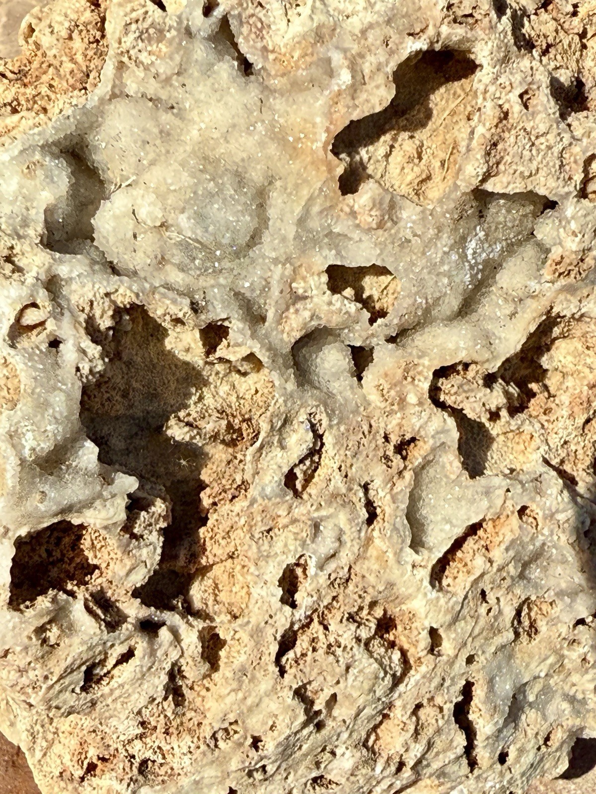 GORGEOUS* 7 Lb Crystallized Fossil Coral Reef Rock~Brilliant Druzy Sparkle
