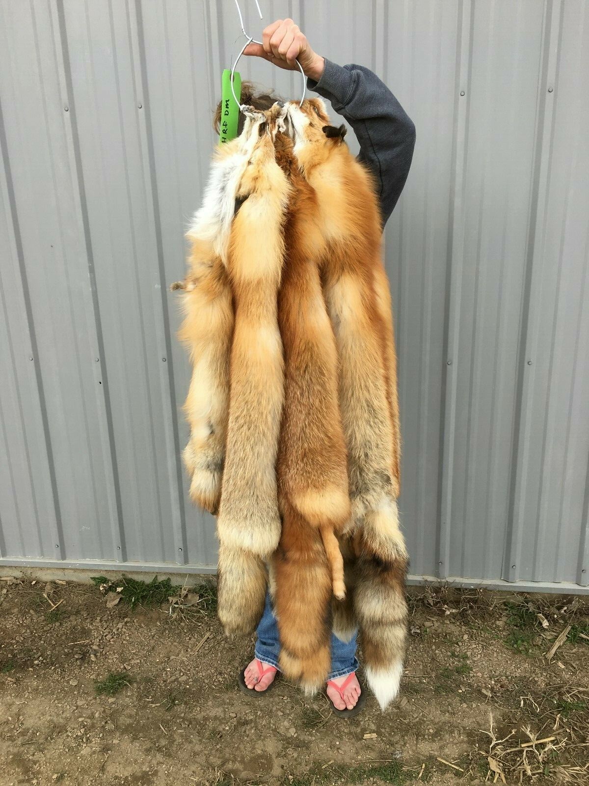 Tanned Red Fox Winter “Heavy Fur” Western XL, some Imperfections (rfwhimp)