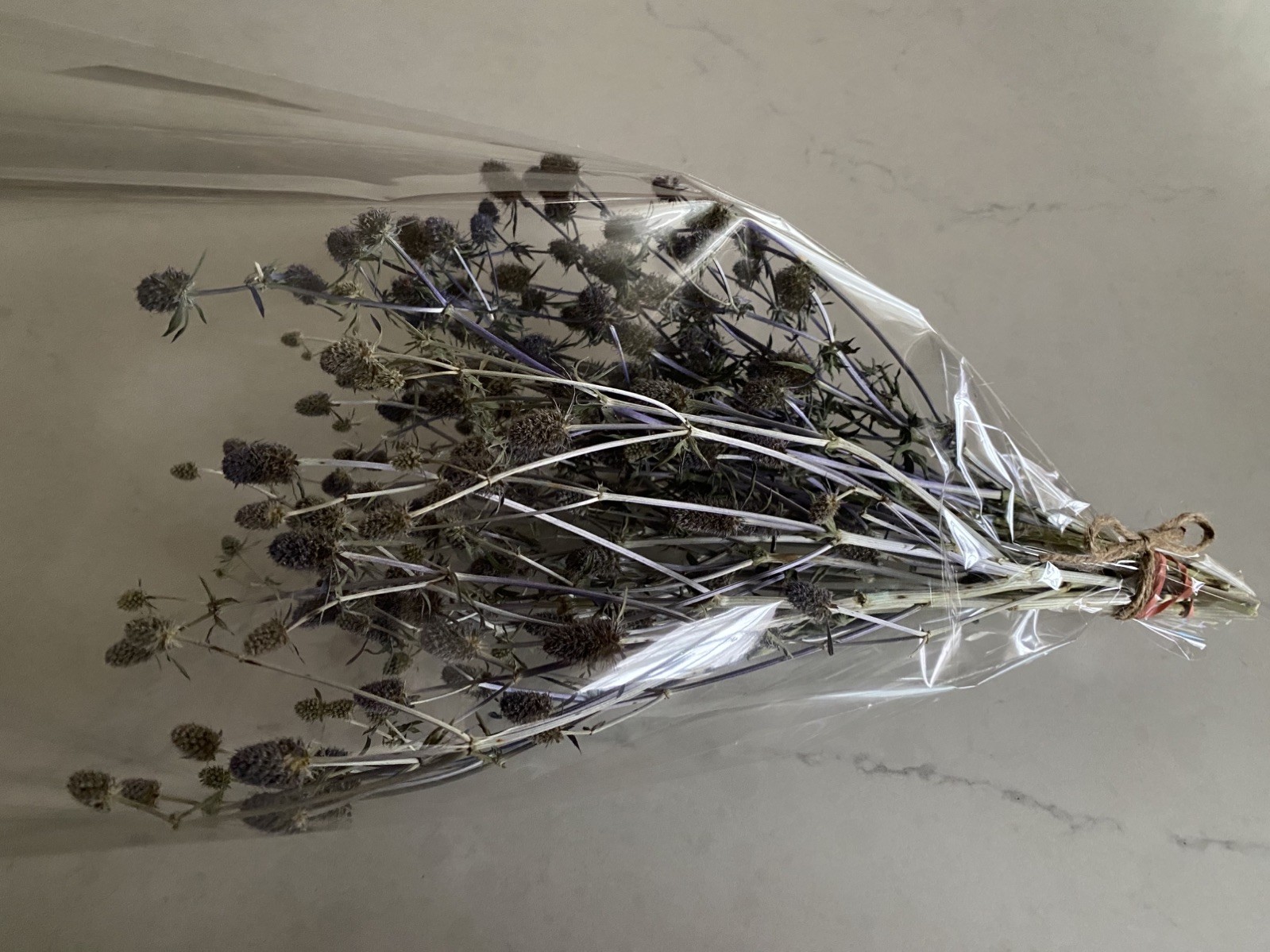 ERYNGIUM Sea Holly Bunch BOUQUET Bundle DRIED Flowers USA