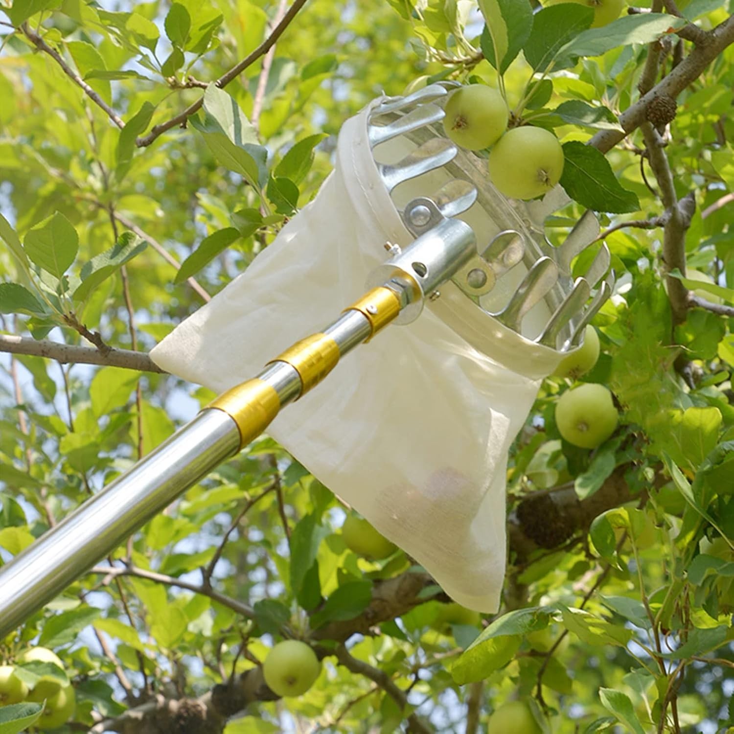 Telescopic Fruit Picker 1.9m, Long Reach Harvest Tool for Apple Pear Picking