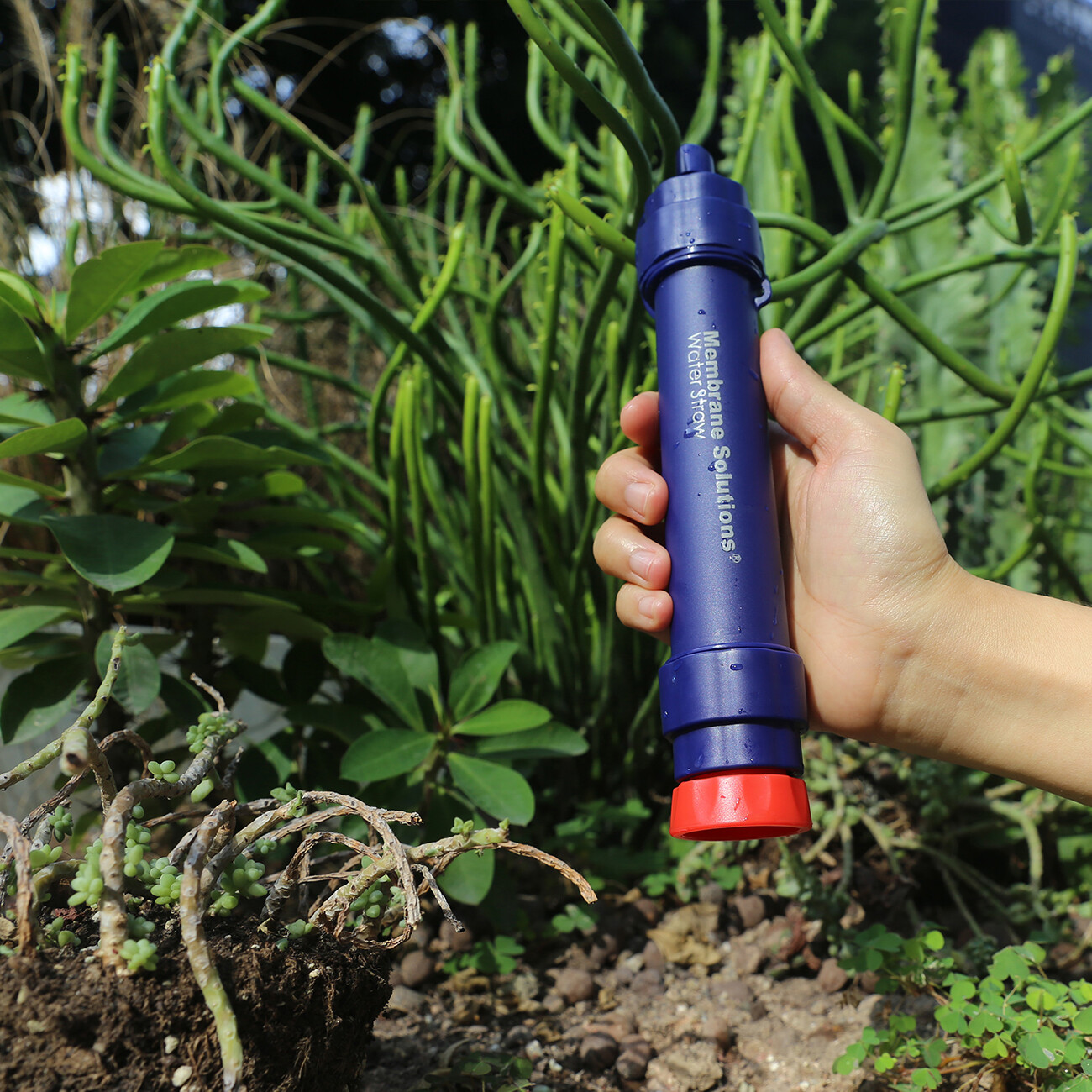 Reusable Water Filter Straw Portable Filtration Purifiers Personal Emergency Use