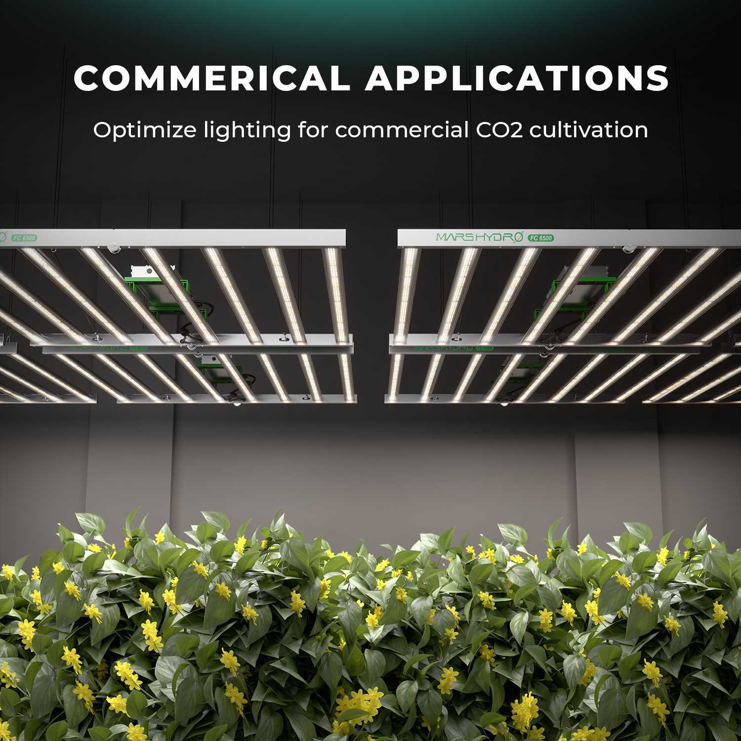 Mars Hydro Smart FC 1000W 3000 4800 8000 LED Grow Light SamsungLM301B Commercial