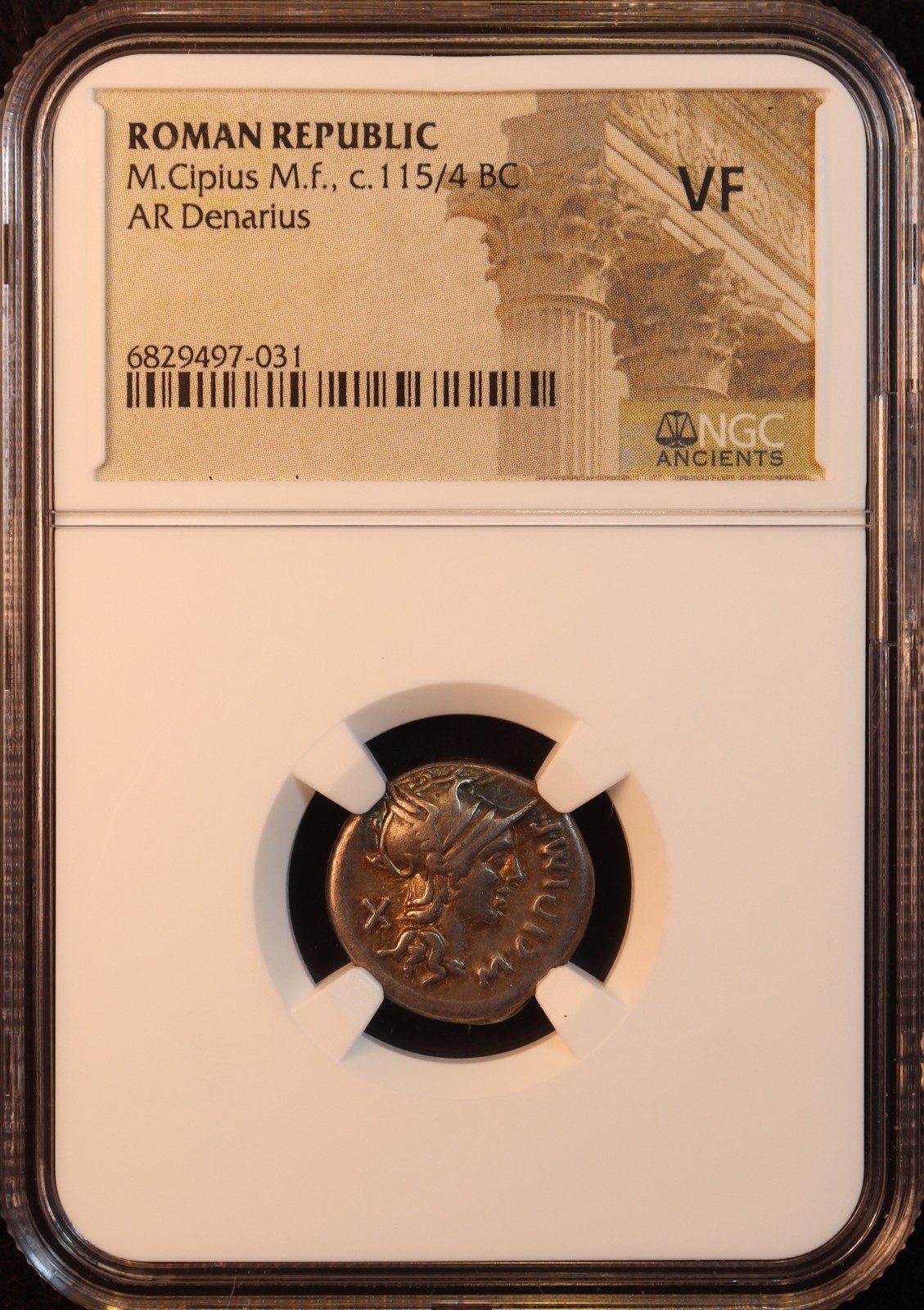 Roman Republic M. Cipius Denarius (115 BC) - NGC VF! Gorgeous & Rare Toning! PQ+