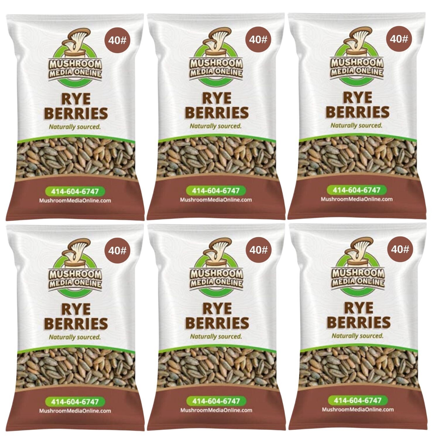 MushroomMediaOnline Whole Rye Berries