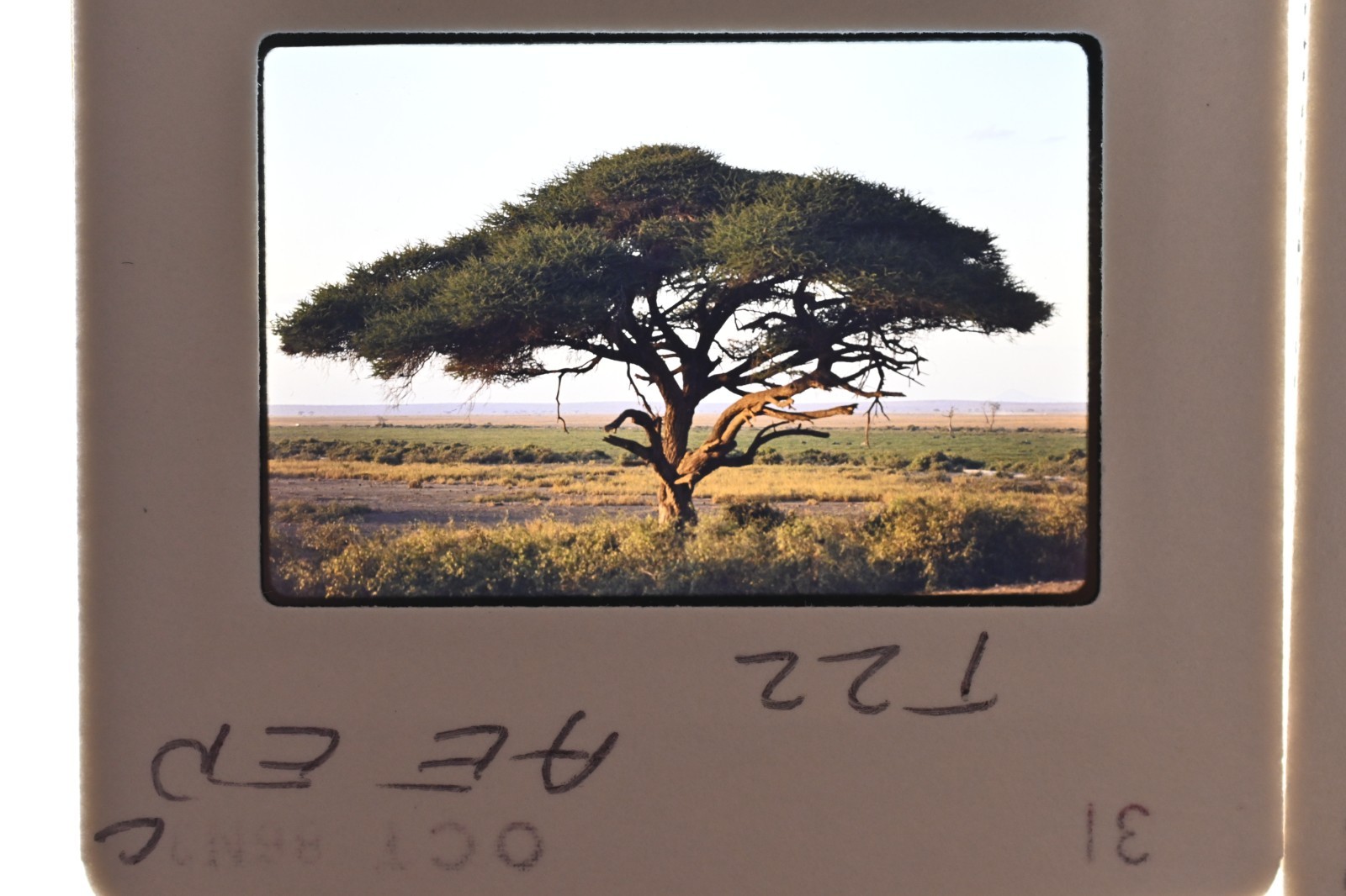 Vintage 1986 Kenya Safari Slides 120 Lot Wildlife Tribal Photo