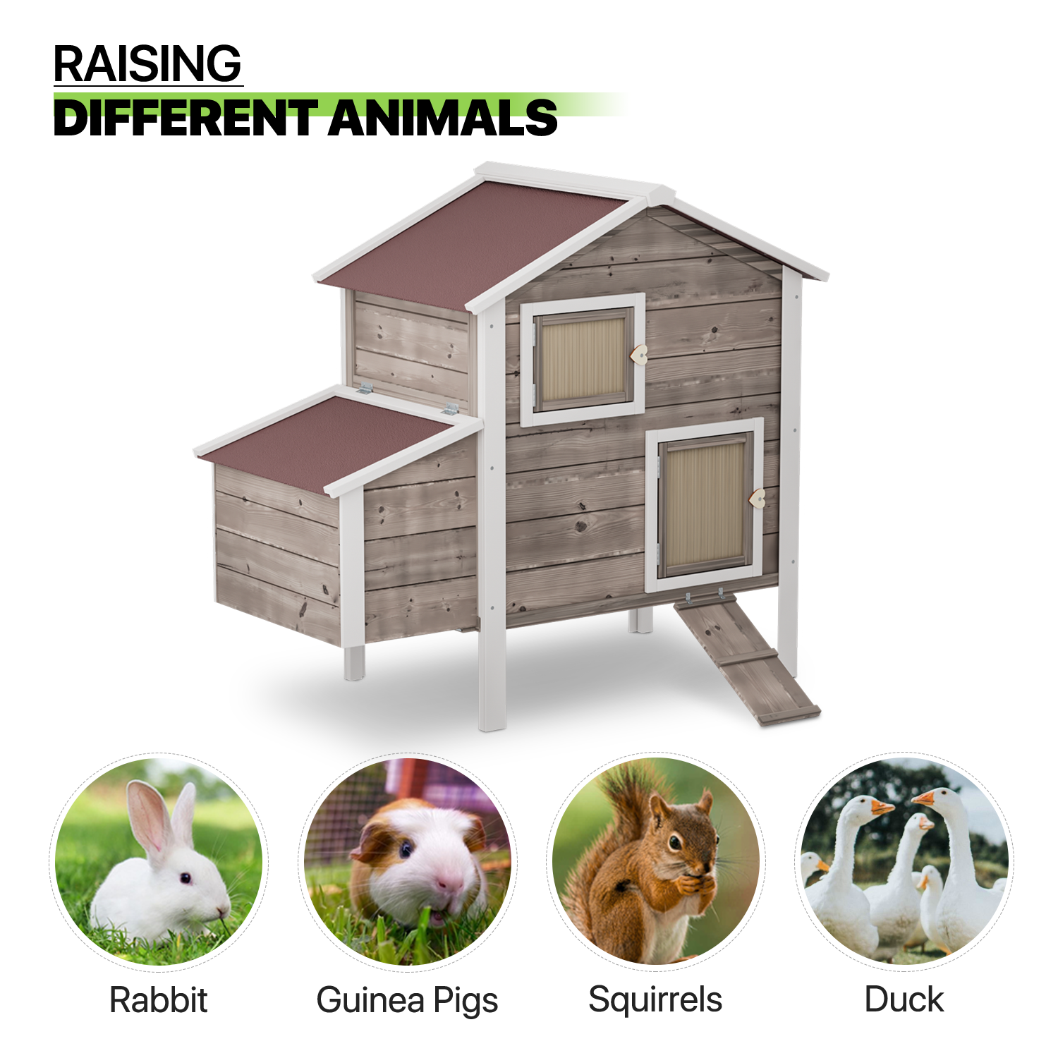 Wooden Chicken Coop Hen House with Removable Tray &Ventilation Door Nesting Box