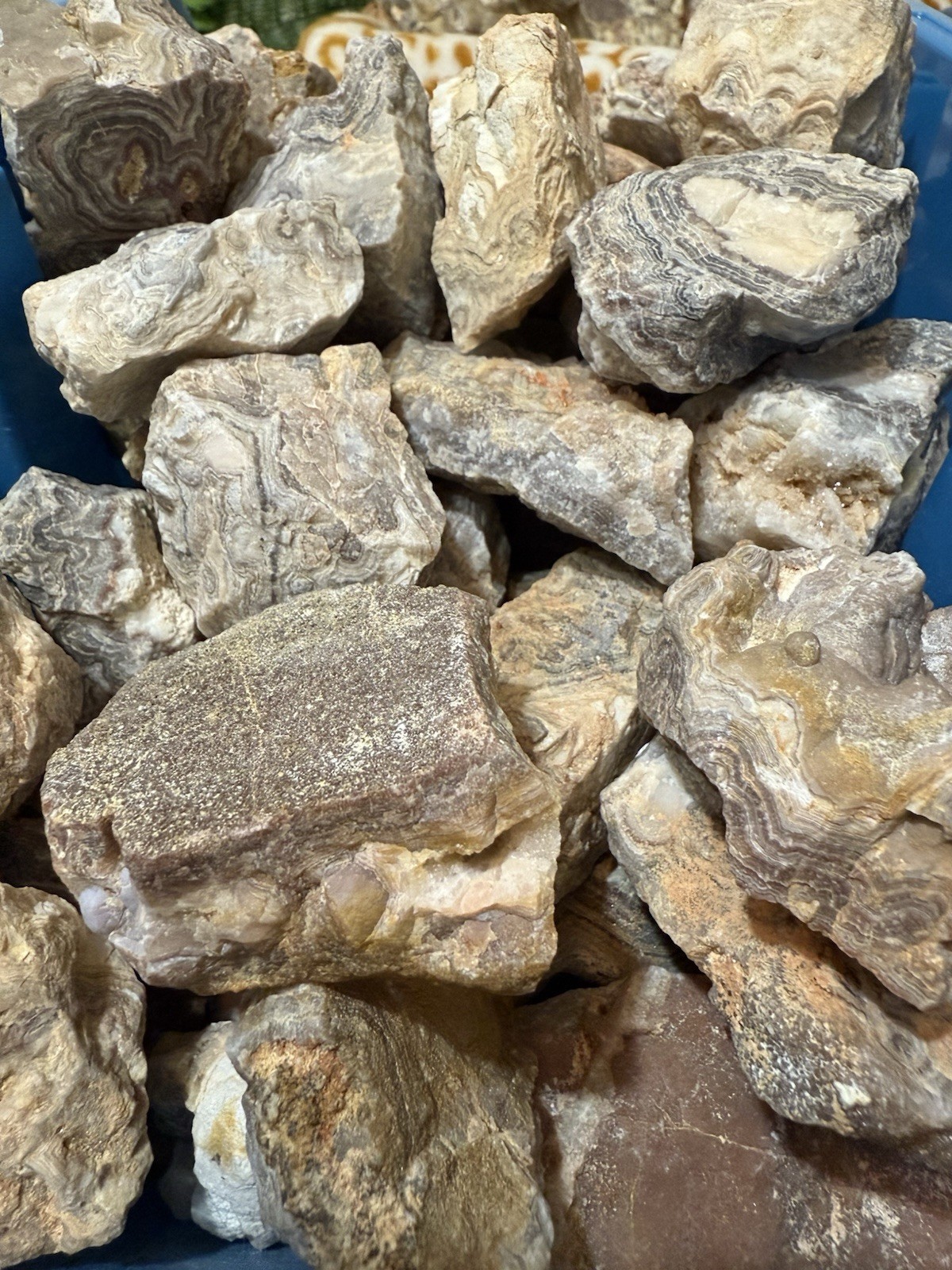 Crazy Lace Agate, Rough Lace Agate From Summerville Ga 10lbs Lot