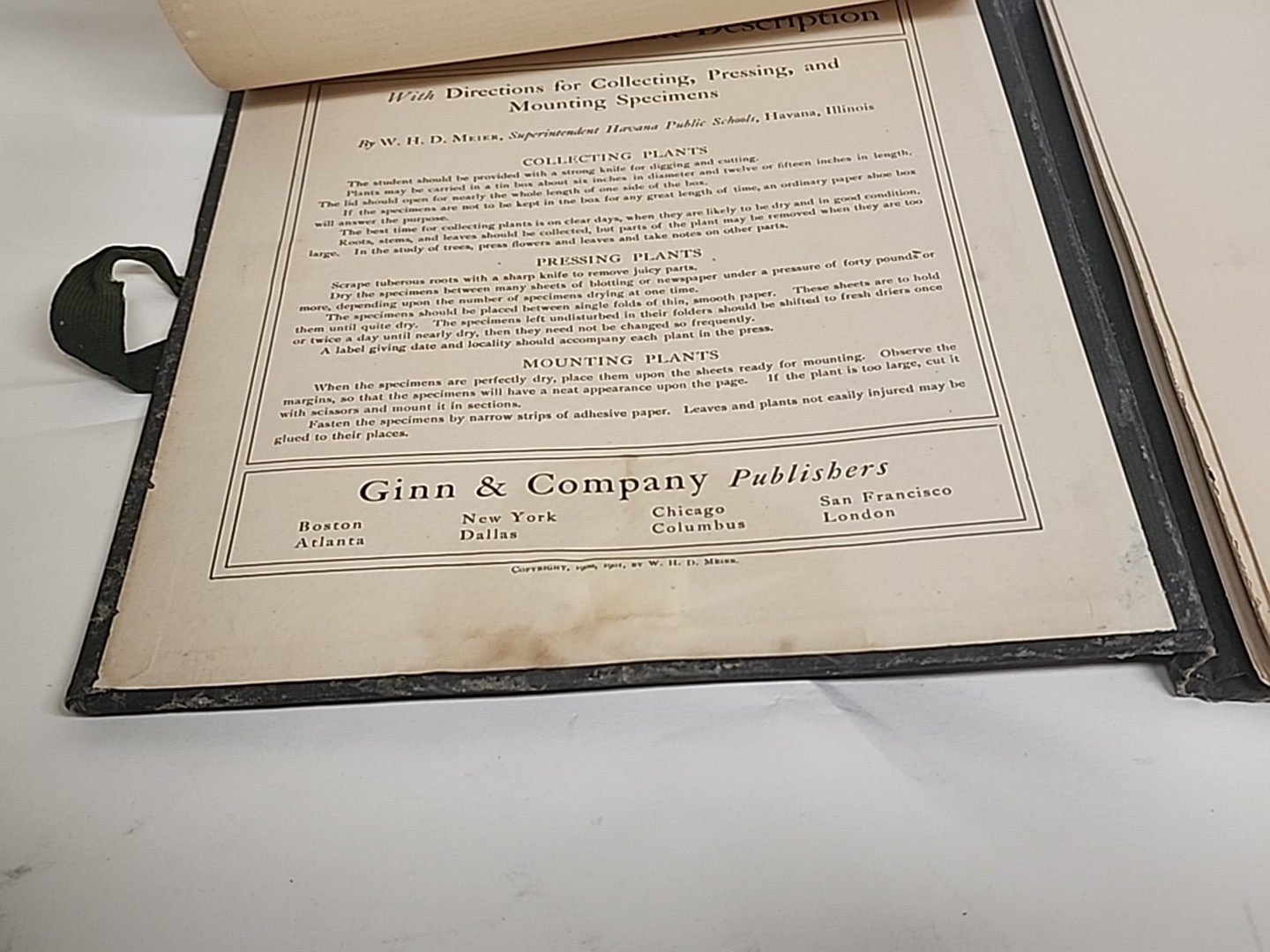 Antique HERBARIUM AND PLANT DESCRIPTIONS Meier Ginn And Company Complete 1907