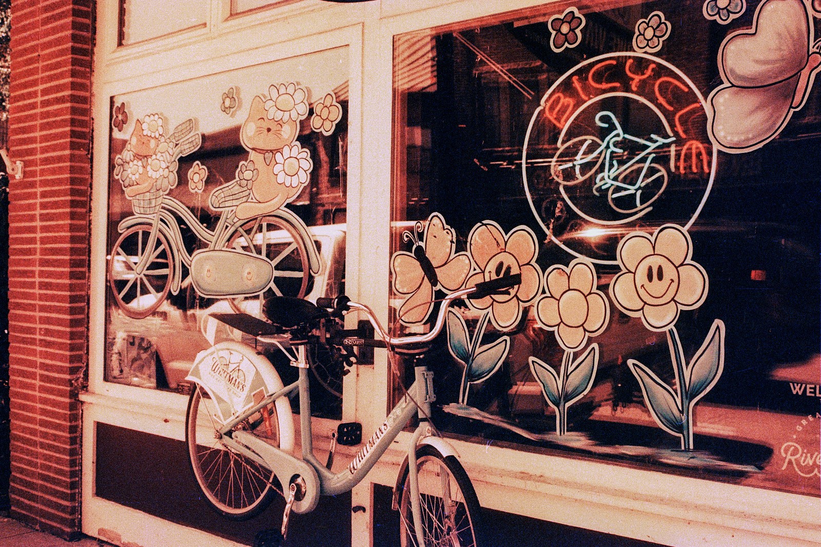 THE MARS PROJECT - BRAND NEW 35mm Color Negative Film 80 ISO - Experimental Fun