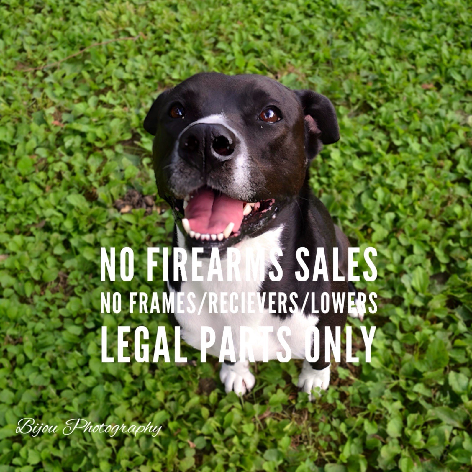 Glock 43 Factory OEM Stripped Slide w/ Sights USA Fit Model G43 43X or 48