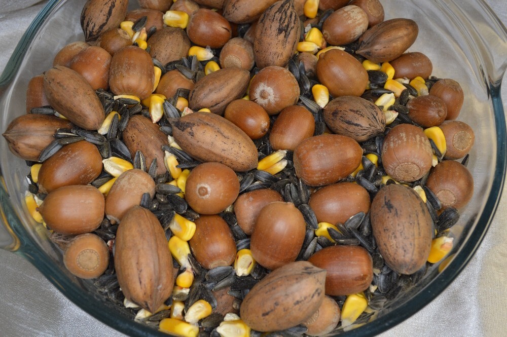 2 LBS Utah Acorn, Utah Pecan, Black Sunflower Seed and Corn Wildlife Feed Mix