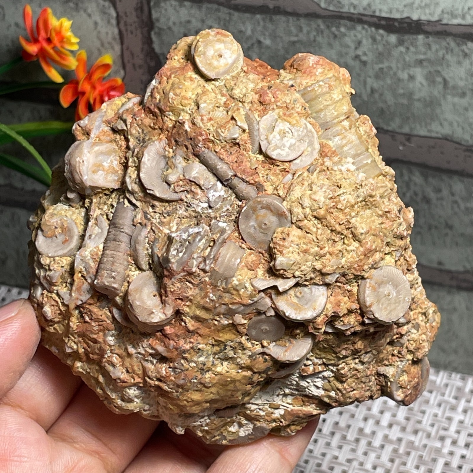 raw lily stone Madagascar  - viewing Home decoration 367g  A38