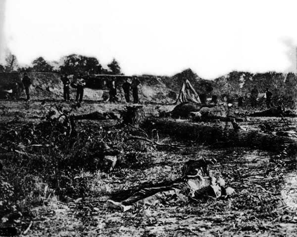 New 8x10 Civil War Photo: Dead Before Battery Robinette, Corinth Mississippi