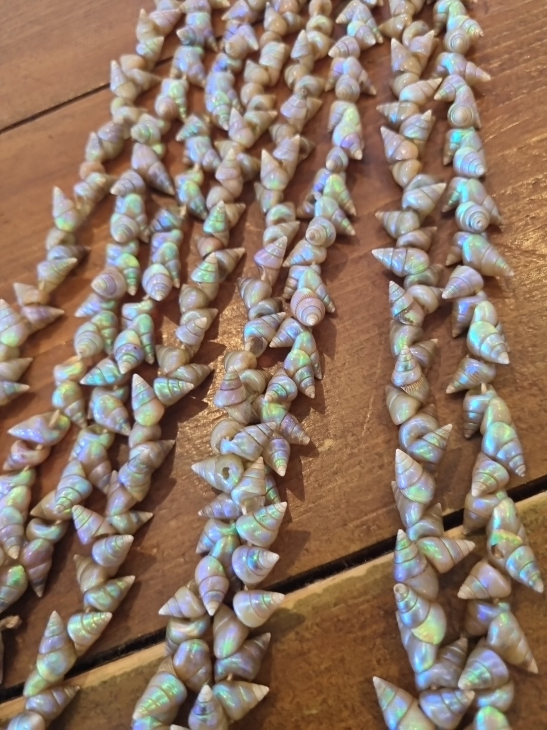 SUPERB VINTAGE TASMANIAN ABORIGINAL MAIREENER SHELL NECKLACE LONG 123cms 1930s