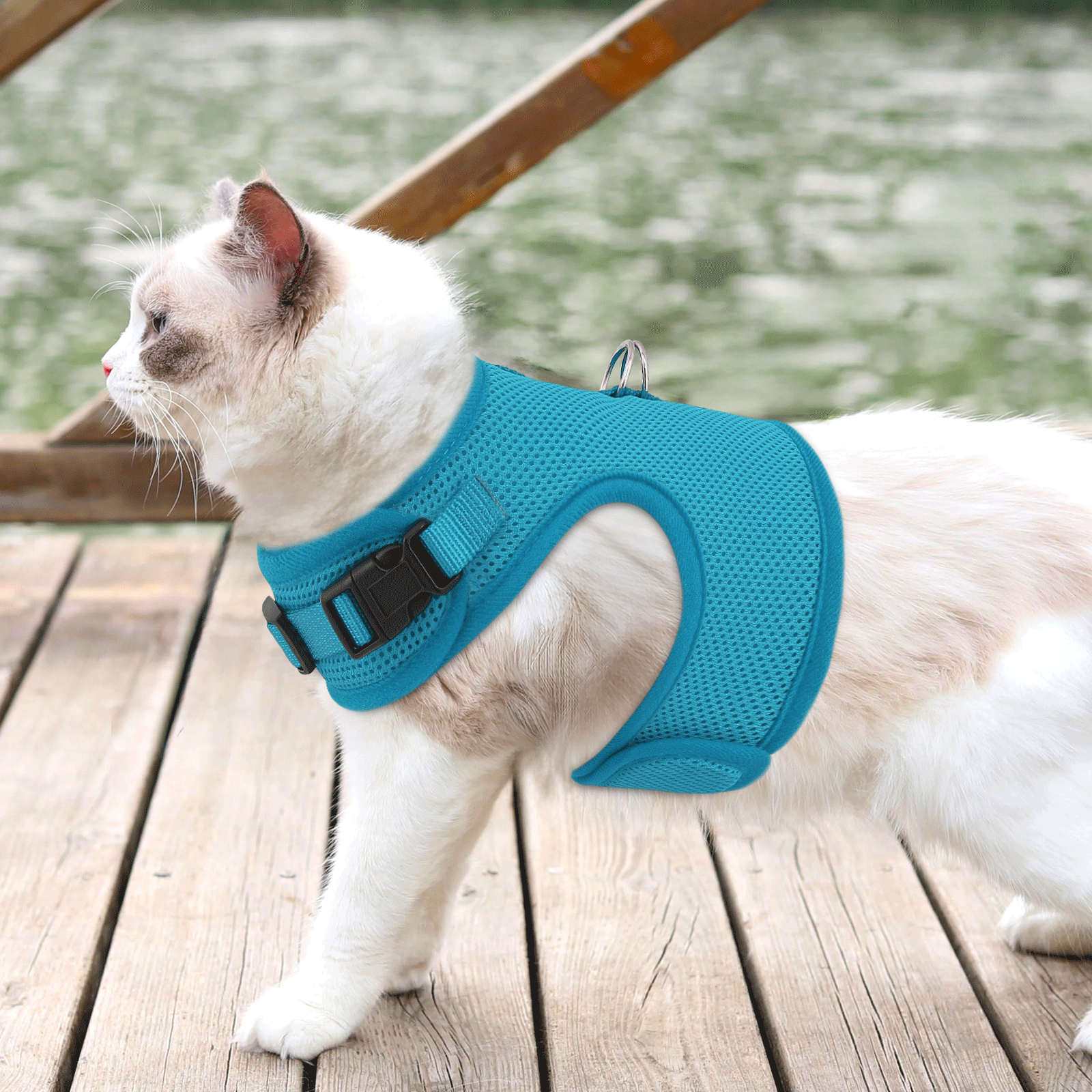 Cat Harness Escape Proof Breathable Mesh Adjustable Walking Kitten Jacket Chest