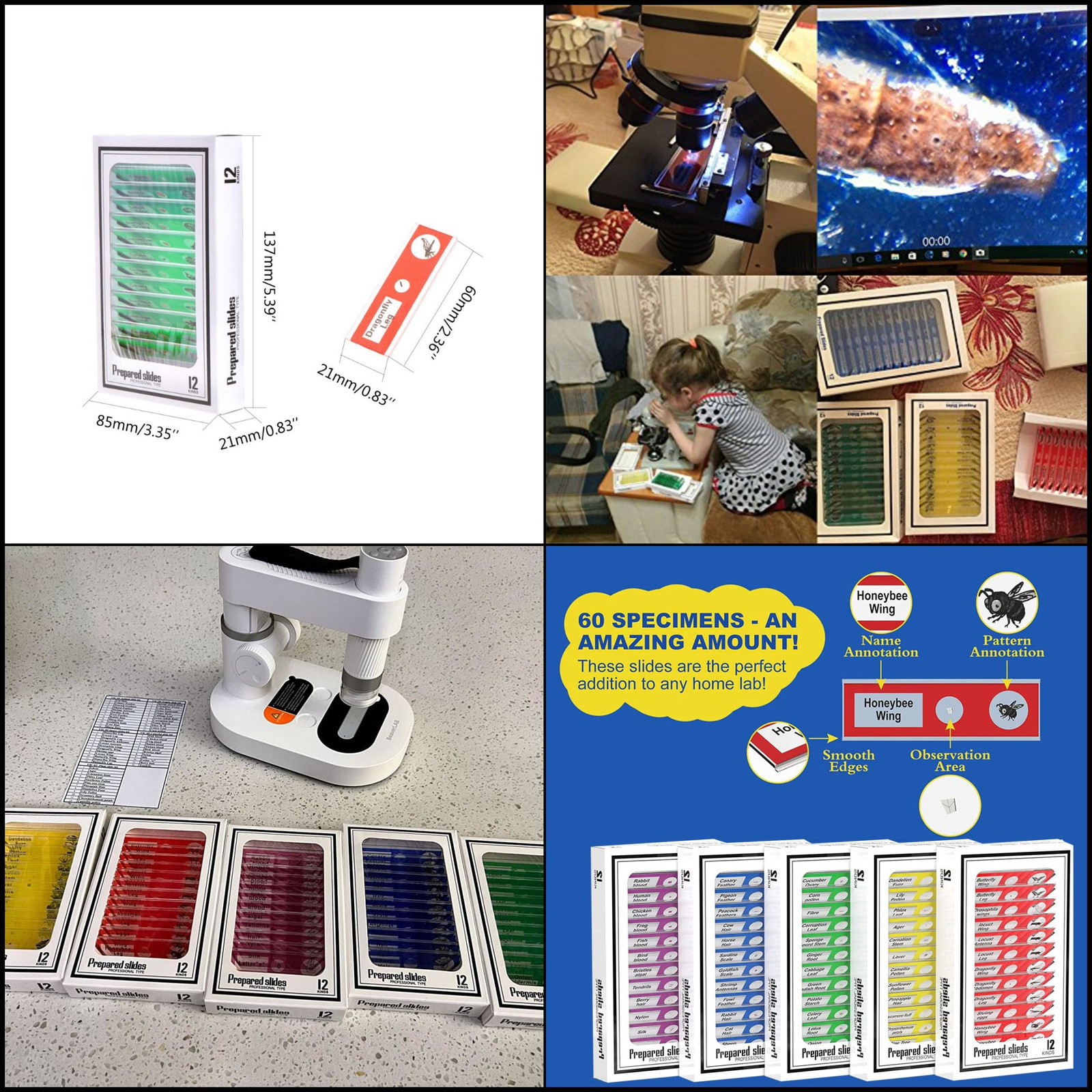 60Pcs Prepared Microscope Slides Specimen Animals Insects Plants Flowers Sample.