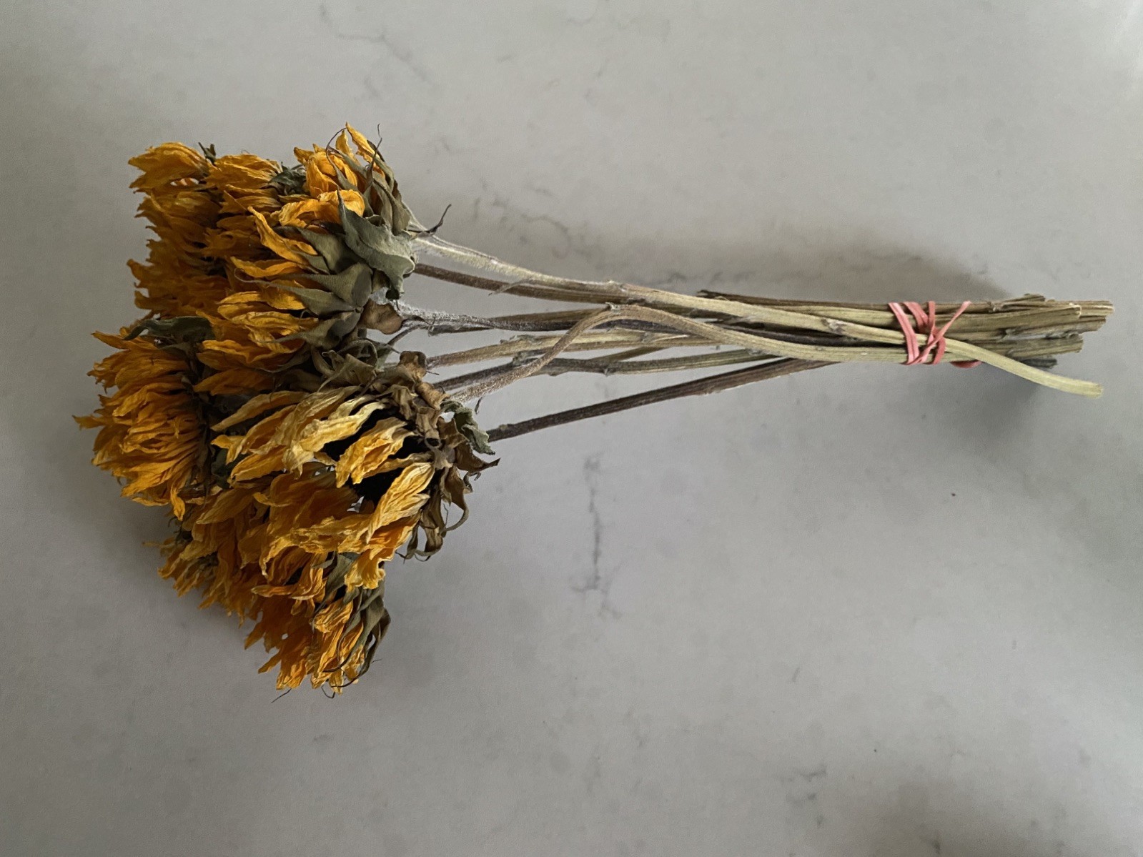 SUNFLOWERS Orange DRIED FLOWER Bunch BOUQUET Bundle USA Grown SUN FLOWERS Auc#2