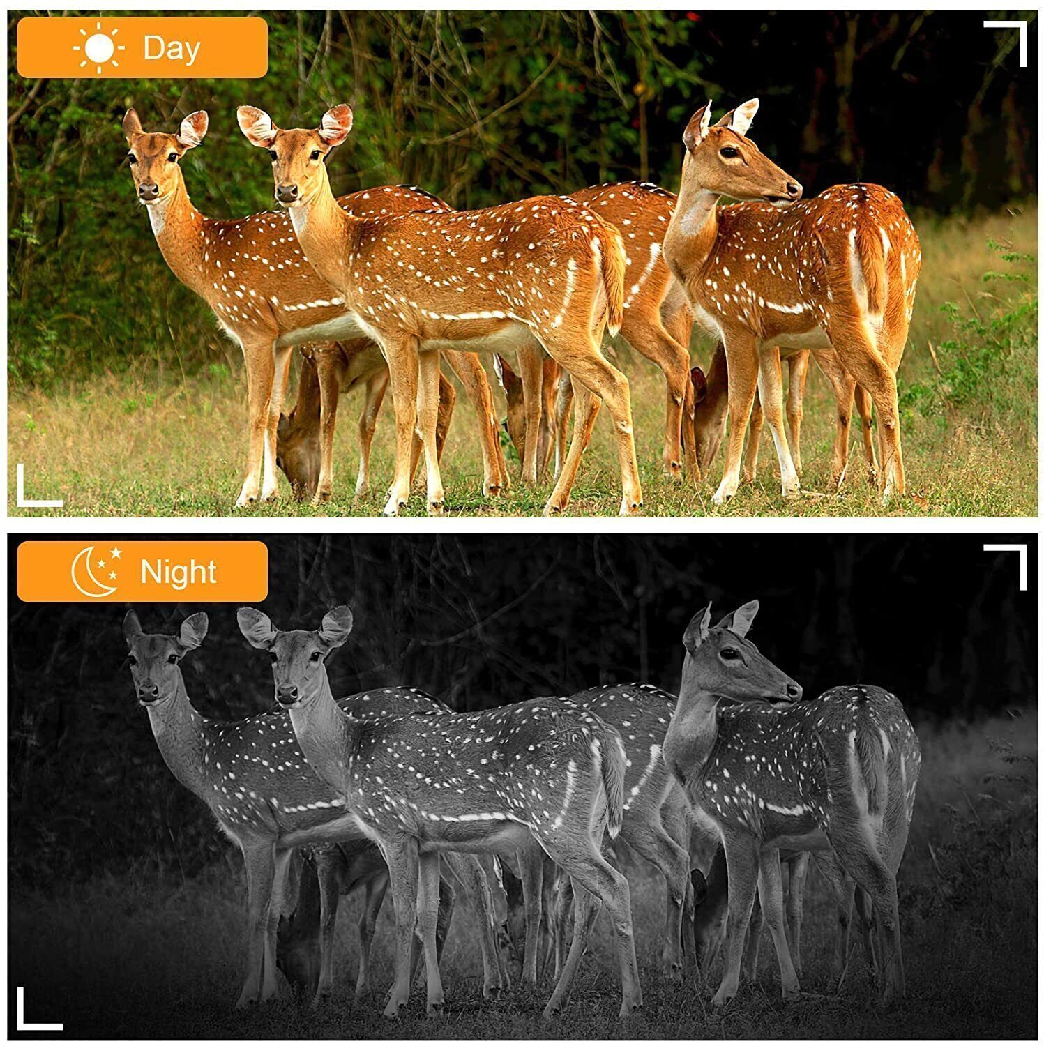 50MP Wildlife Hunting Game Trail Camera 4K Night Vision Motion Activated+32GB