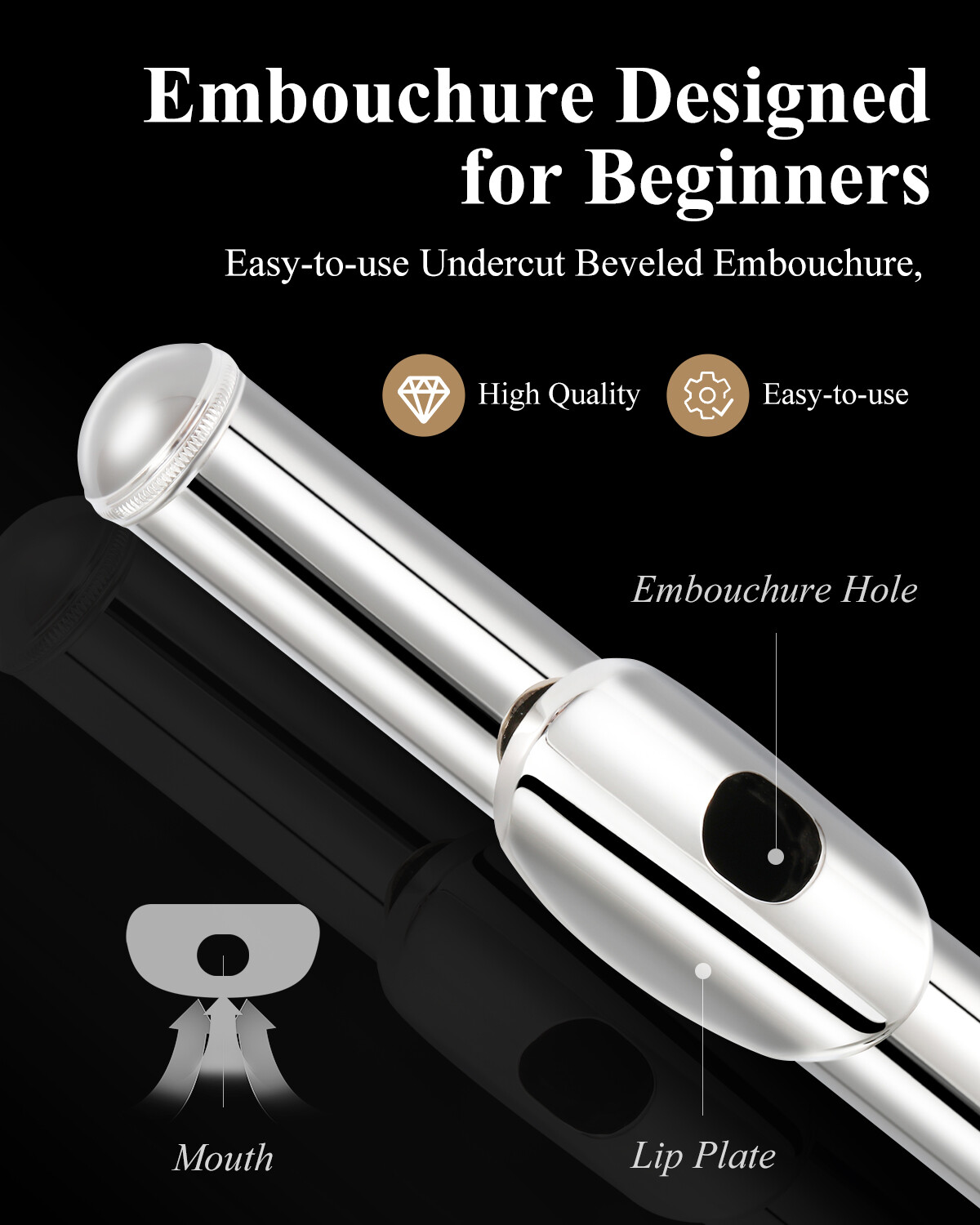 🎵 Eastar CONCERT FLUTE WITH CARRY CASE STAND FOR STUDENT SCHOOL BAND FLUTES