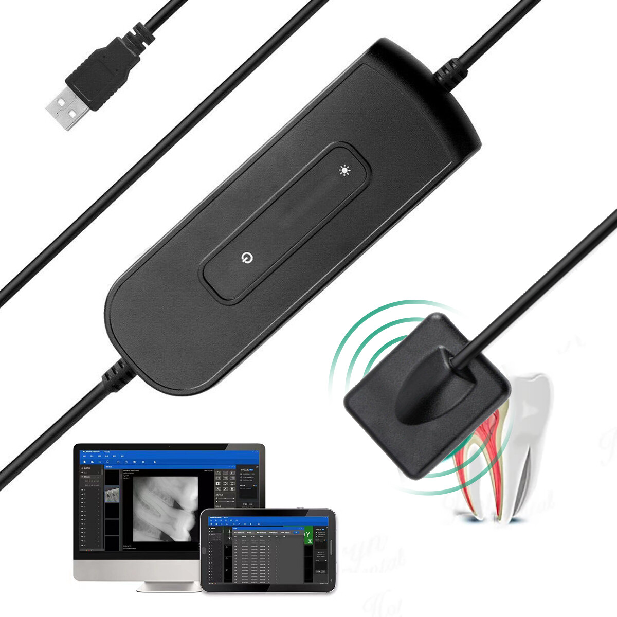 Sensor Dental RVG X-ray Sensor Digital Imaging System 1.5M Holder