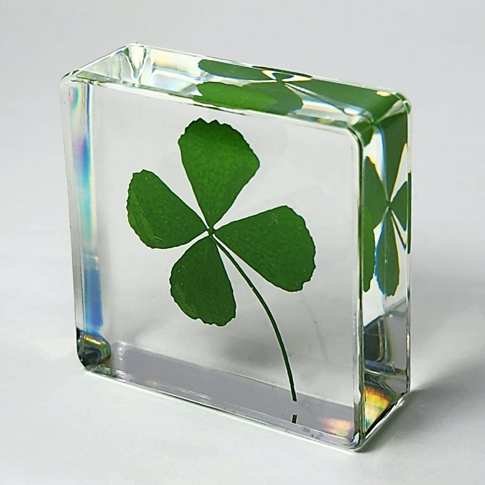 Four Leaf Clover in Resin, Tiny Good Luck Charm, Trifolium repens