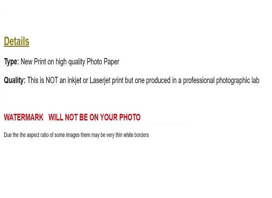 WW1 Picture Photo WWI Bavarian and veteran Franco-Prussian War 7962