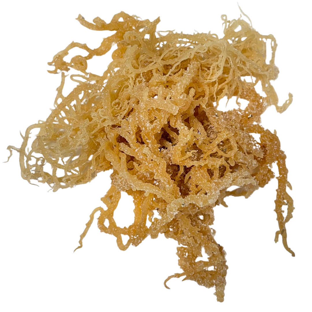 Irish Sea Moss Whole Leaf - 100% Raw WildCrafted Chondrus Crispus Superfood Bulk