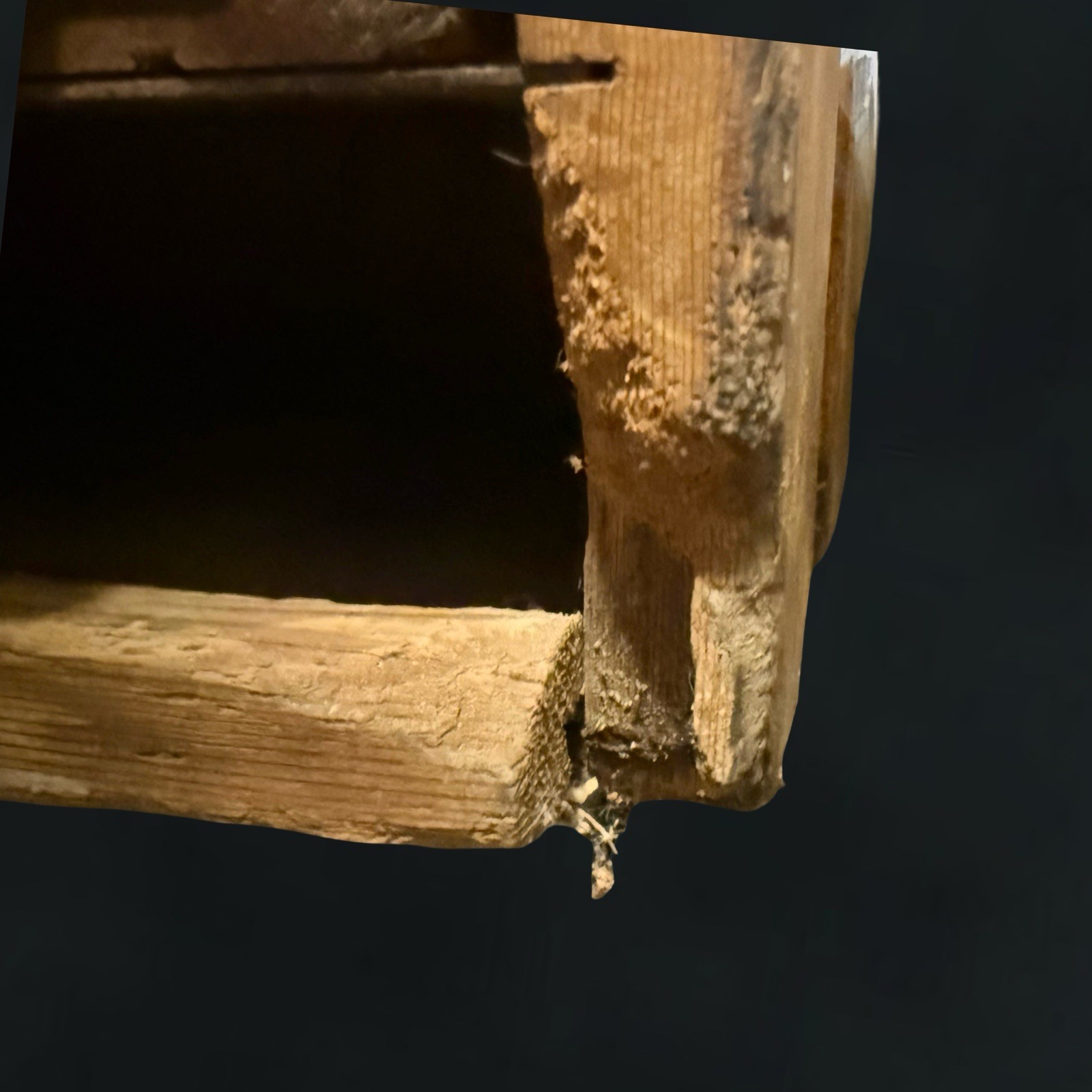 450 DRAWERS! ▪ Antique Apothecary WOOD Cabinet Chest Parts Specimen Card Catalog