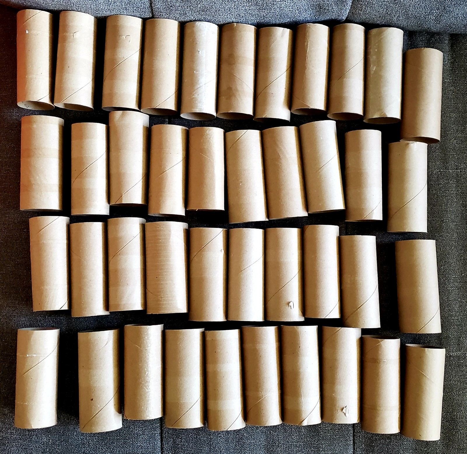 41 Brown Used Empty Cardboard Toilet Paper Tissue Tubes / Rolls, Free Shipping!