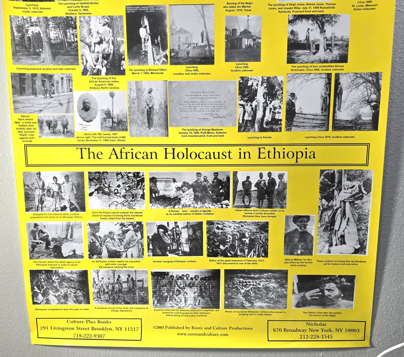 Black History Poster, African-American History 2003 Printing Brooklyn