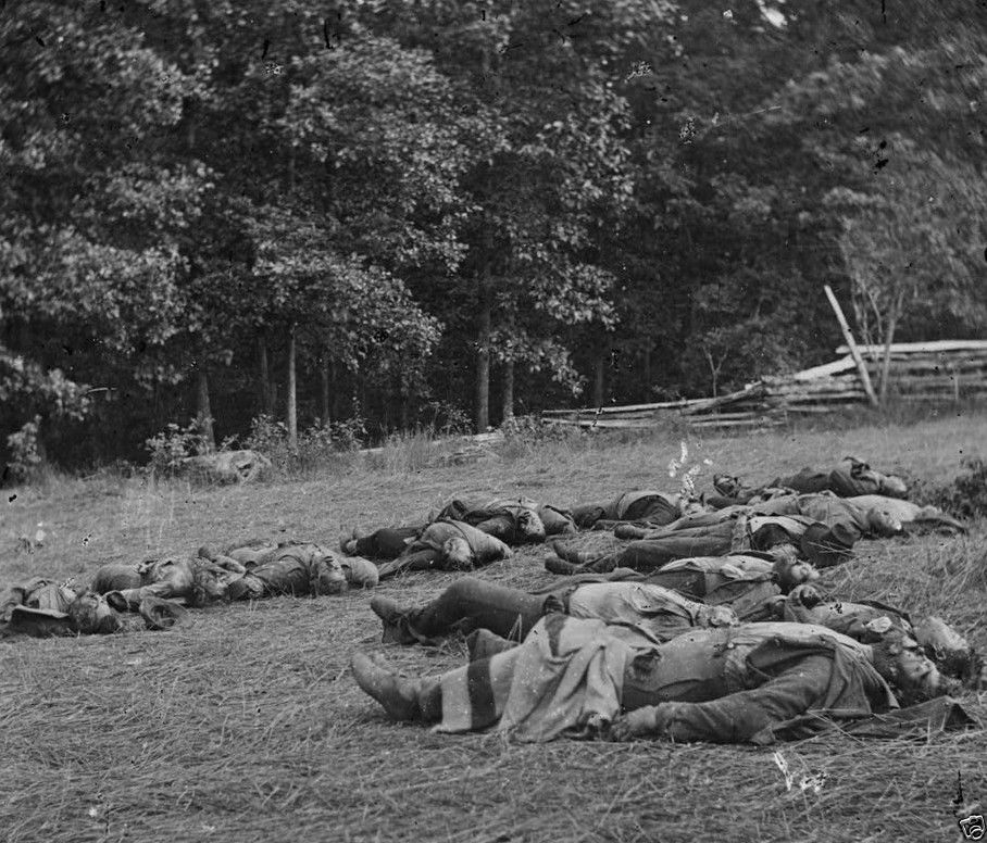 Confederate Dead Soldiers Gettysburg Rose Woods 1863 New 8x10 US Civil War Photo