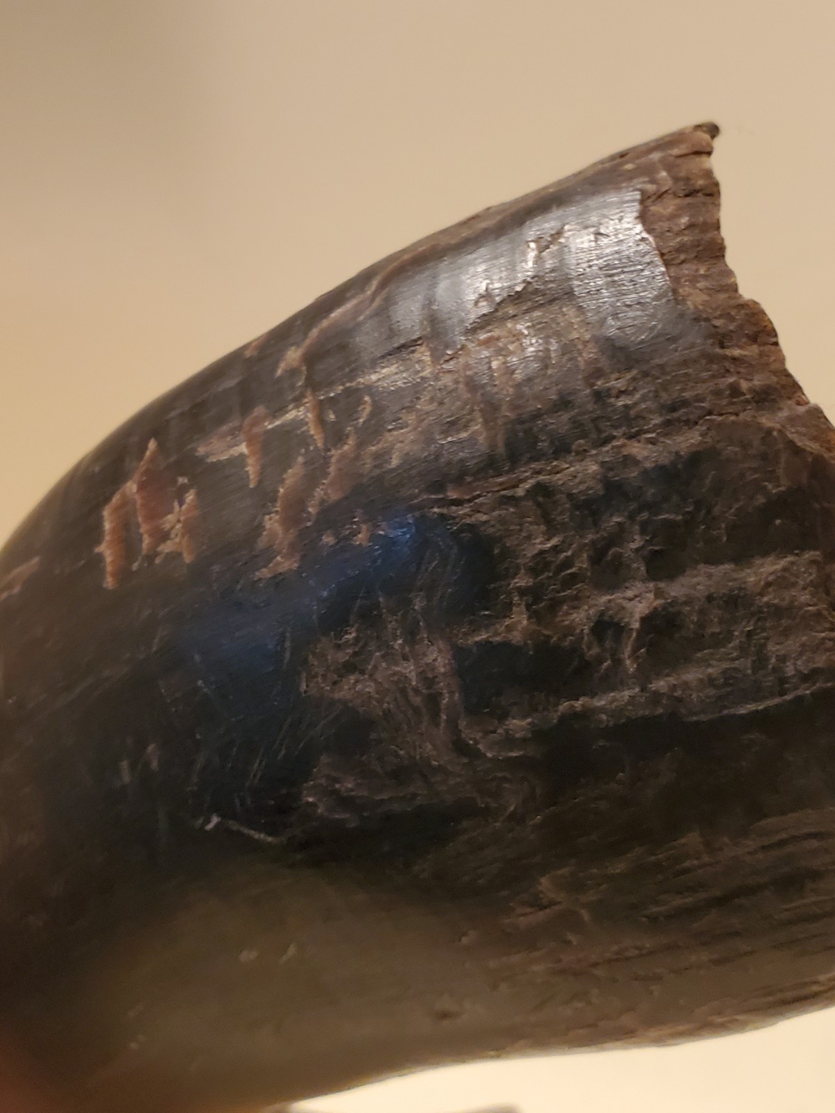 Antique OLD Native American Indian plains bison horn spoon 19th c.