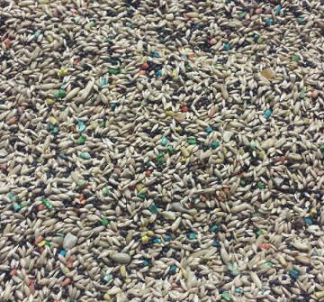 ABBA 1700 CANARY FOOD