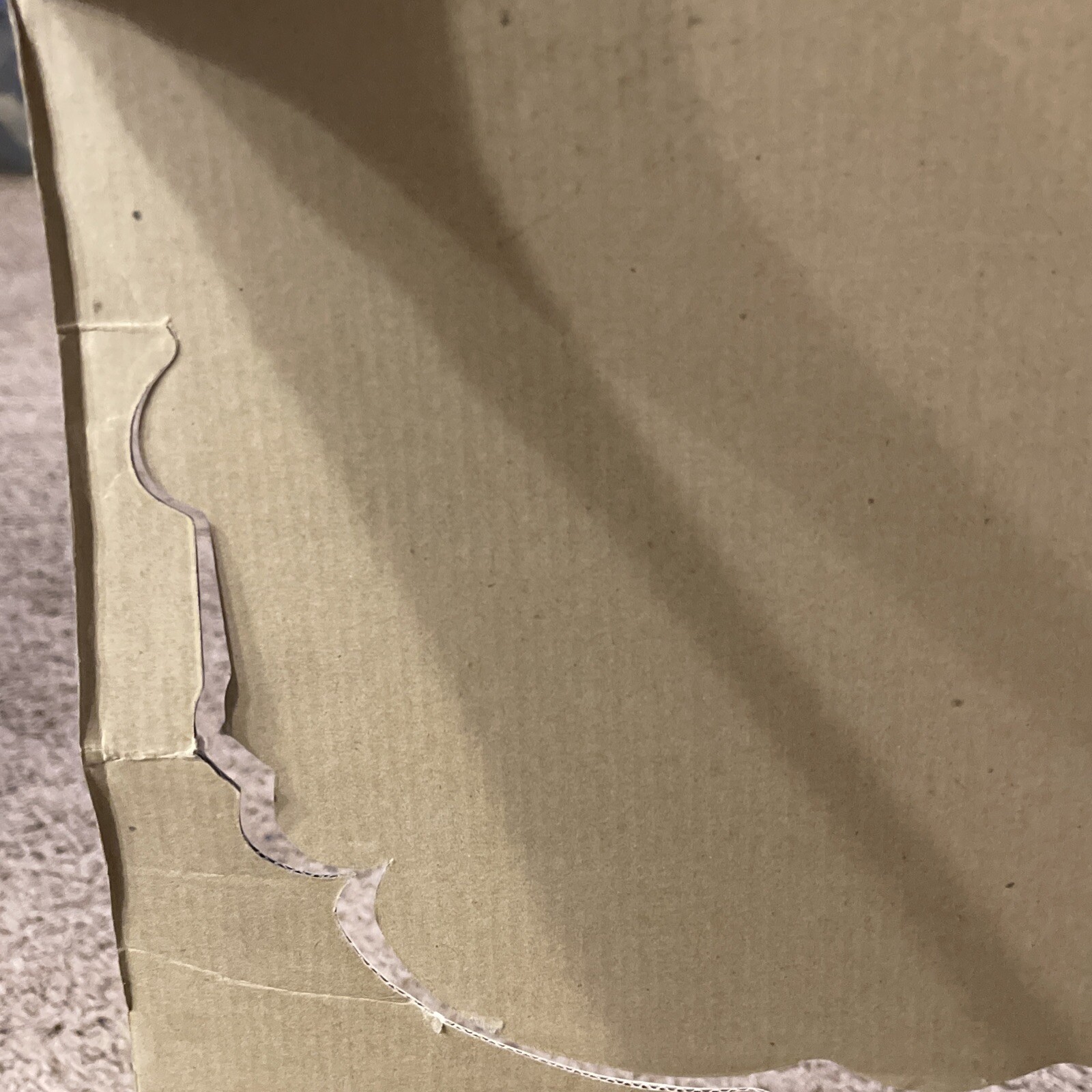 Box Of Meanies 1998 The Tough Mean Beanbags New In Packaging 13 Meanies Total