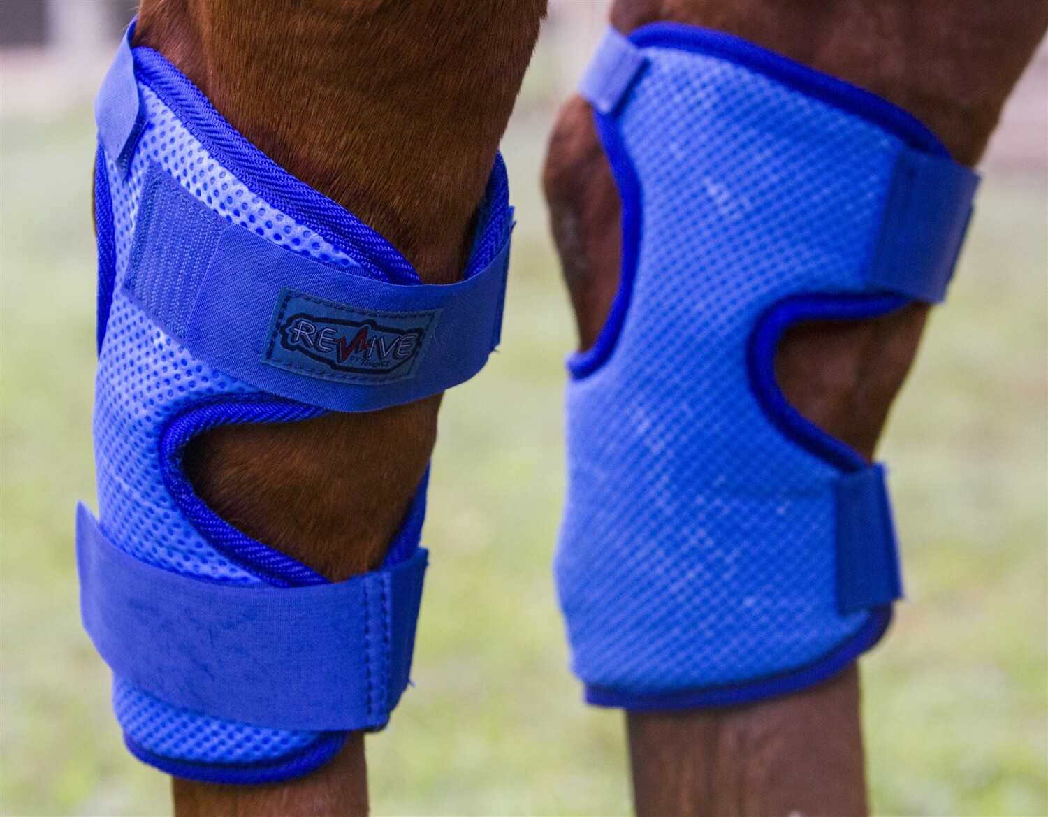 Horse Revive Hock Cooling Therapy Wrap