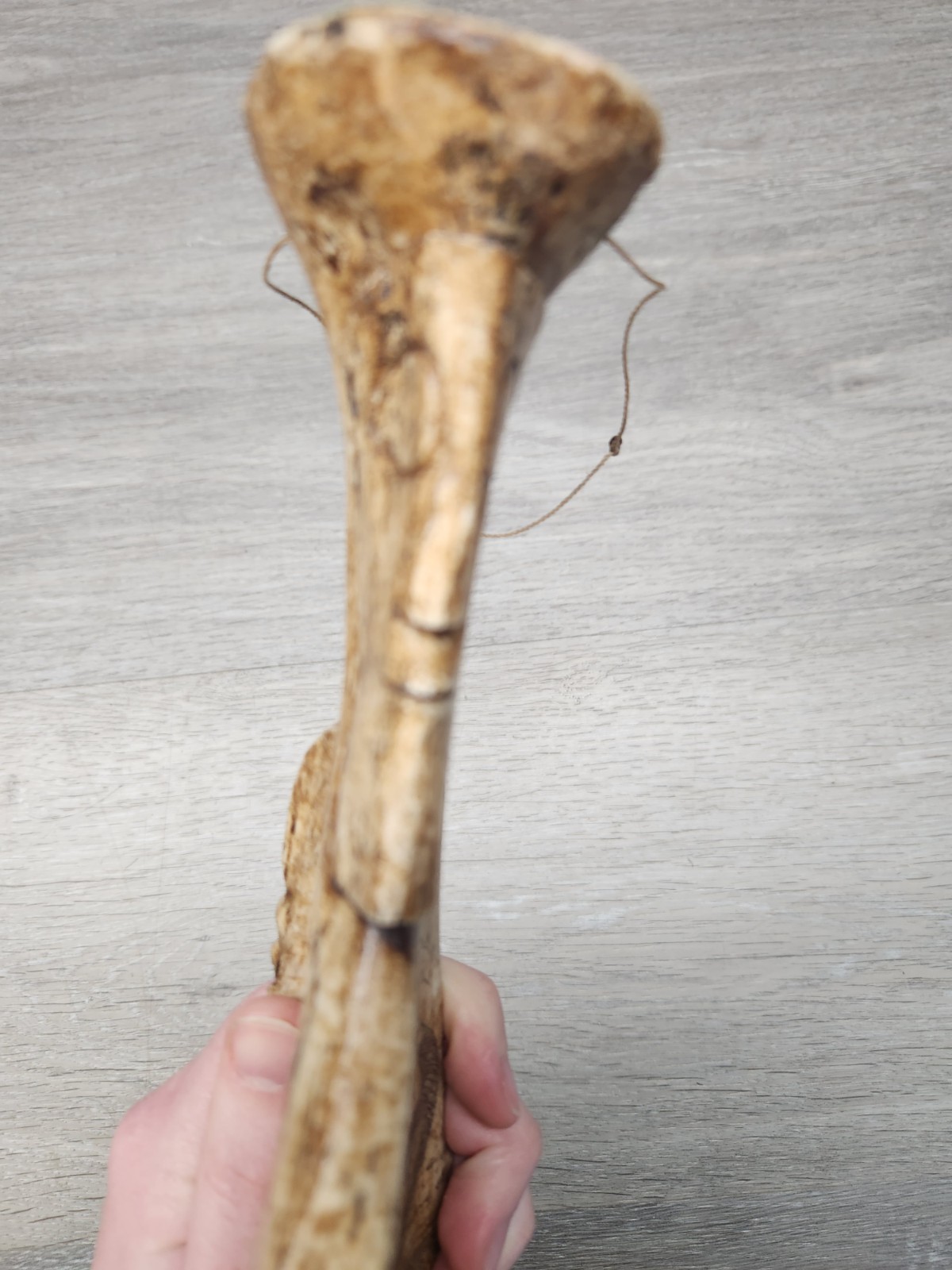 Batak Ritual Shamans Divination Tool Calendar, 13" 1900S