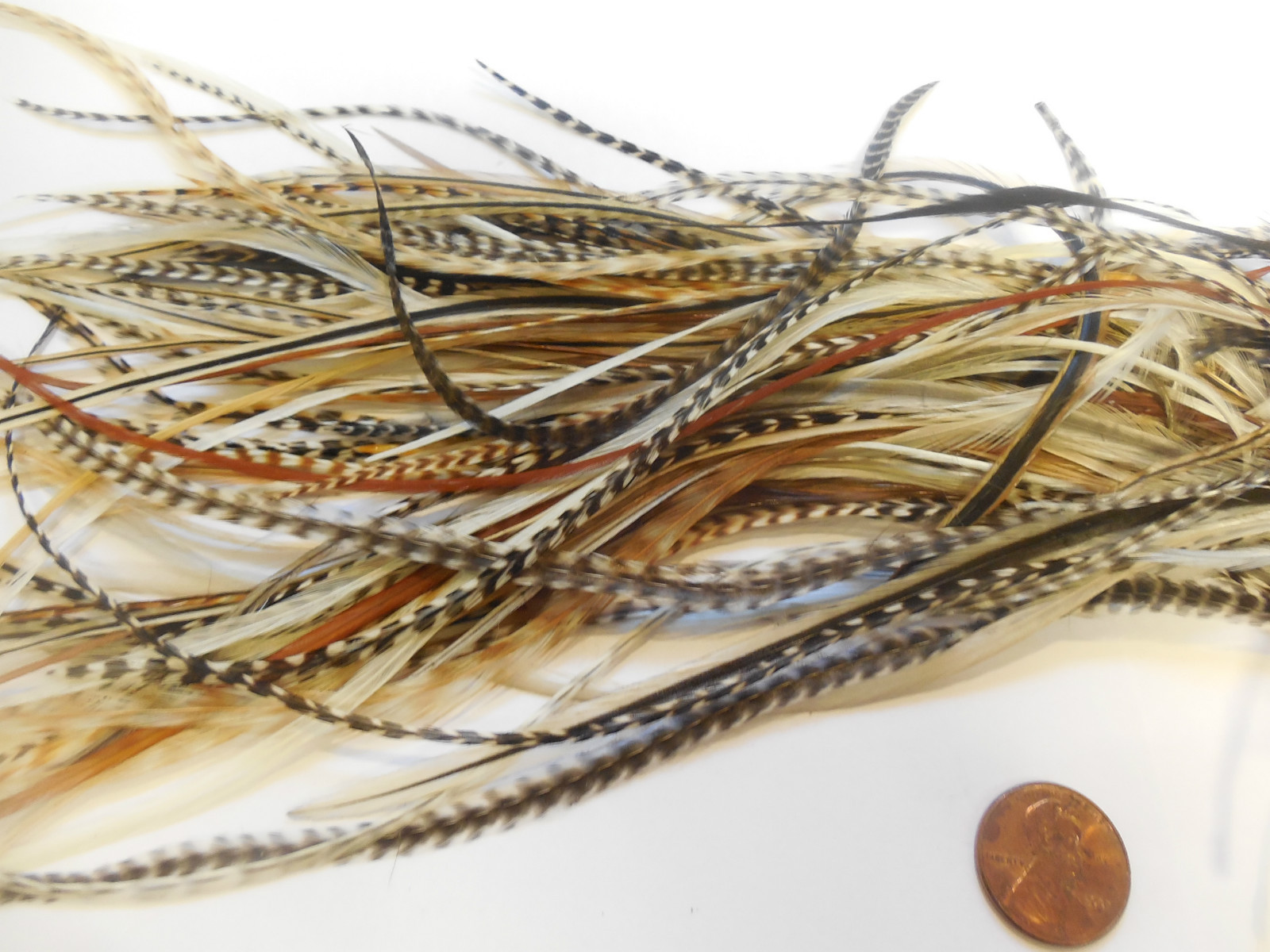 100 WHITING METZ  ROOSTER SADDLE HACKLE FLY TYING FEATHERS ASST GRIZZLY etc Lot