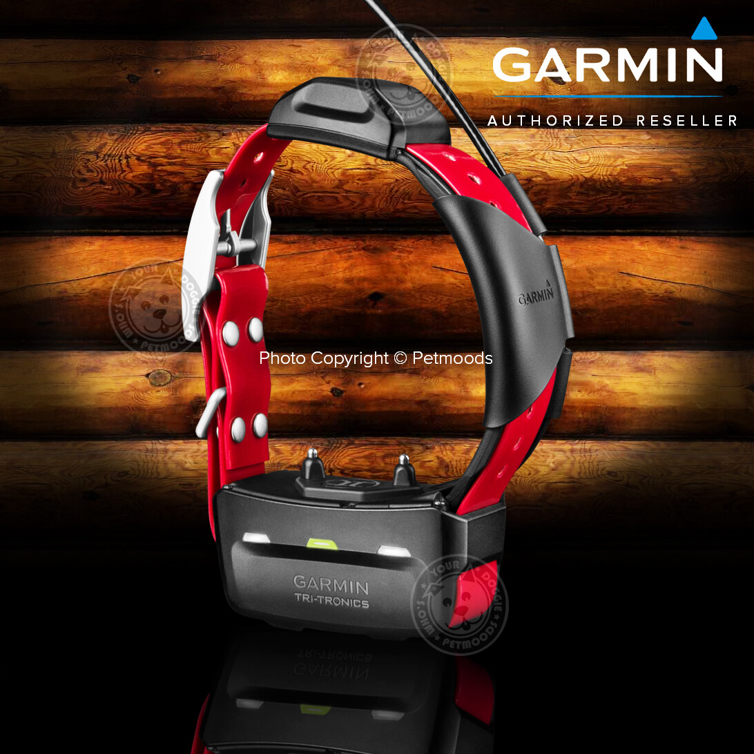 Garmin TT15X Dog Device GPS Tracking Training Collar 010-02755-80